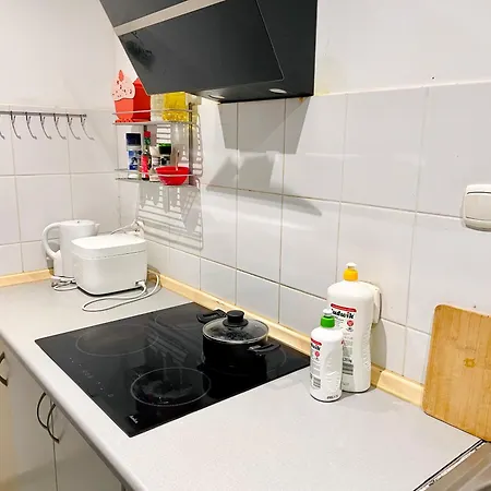 Minimalist With Kitchen-near Fabryczna Homestay Lodz